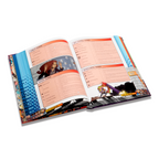 Sentinel Comics: The Roleplaying Game Core Rulebook